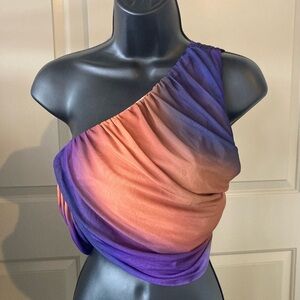 Zara Purple and burnt orange crop top